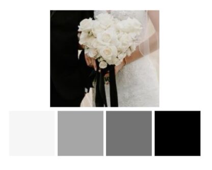 Modern Black & White Color Palette